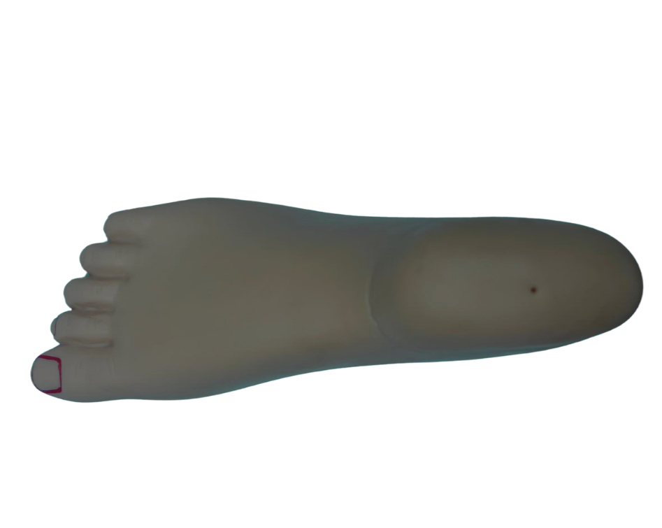 Simulador Pé Diabético