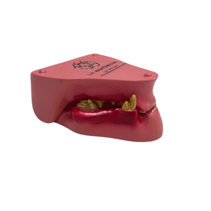 Modelo de Dentes de Gato