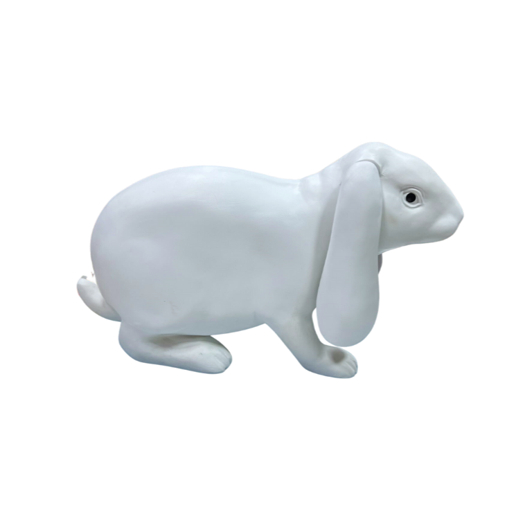 Modelo de Anatomia do Coelho