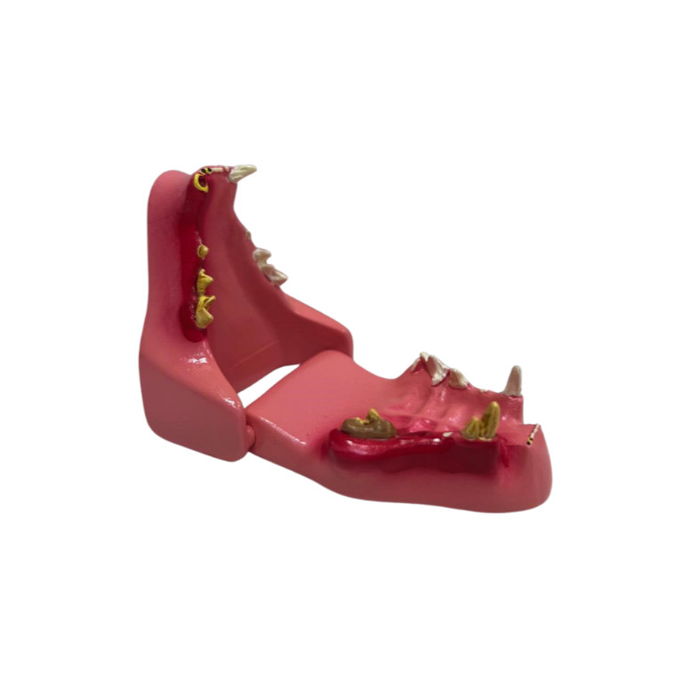 Modelo de Dentes de Gato