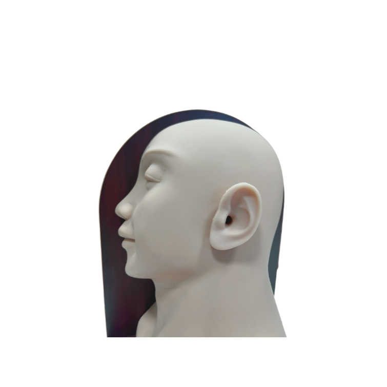 Simulador Avançado de Exame de Ouvido