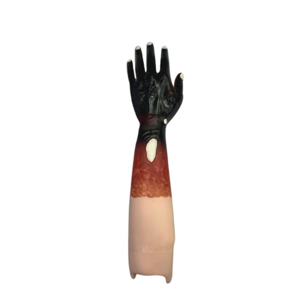 Modelo de Kit Trauma