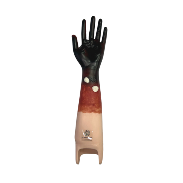 Modelo de Kit Trauma