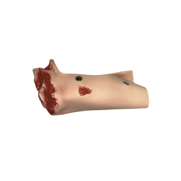 Modelo de Kit Trauma