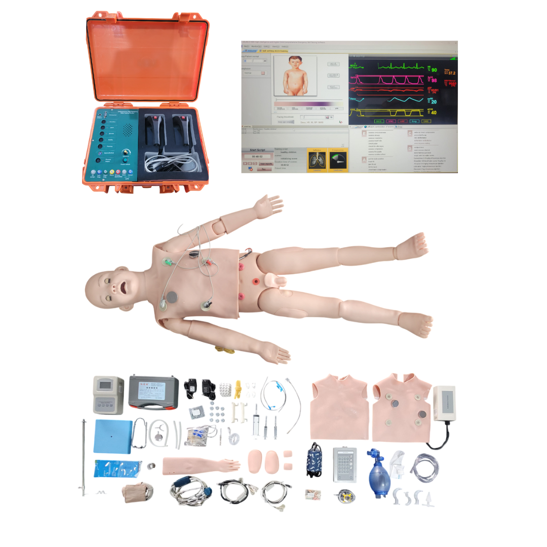Simulador Pediátrico de Alta Fidelidade com Software ACLS