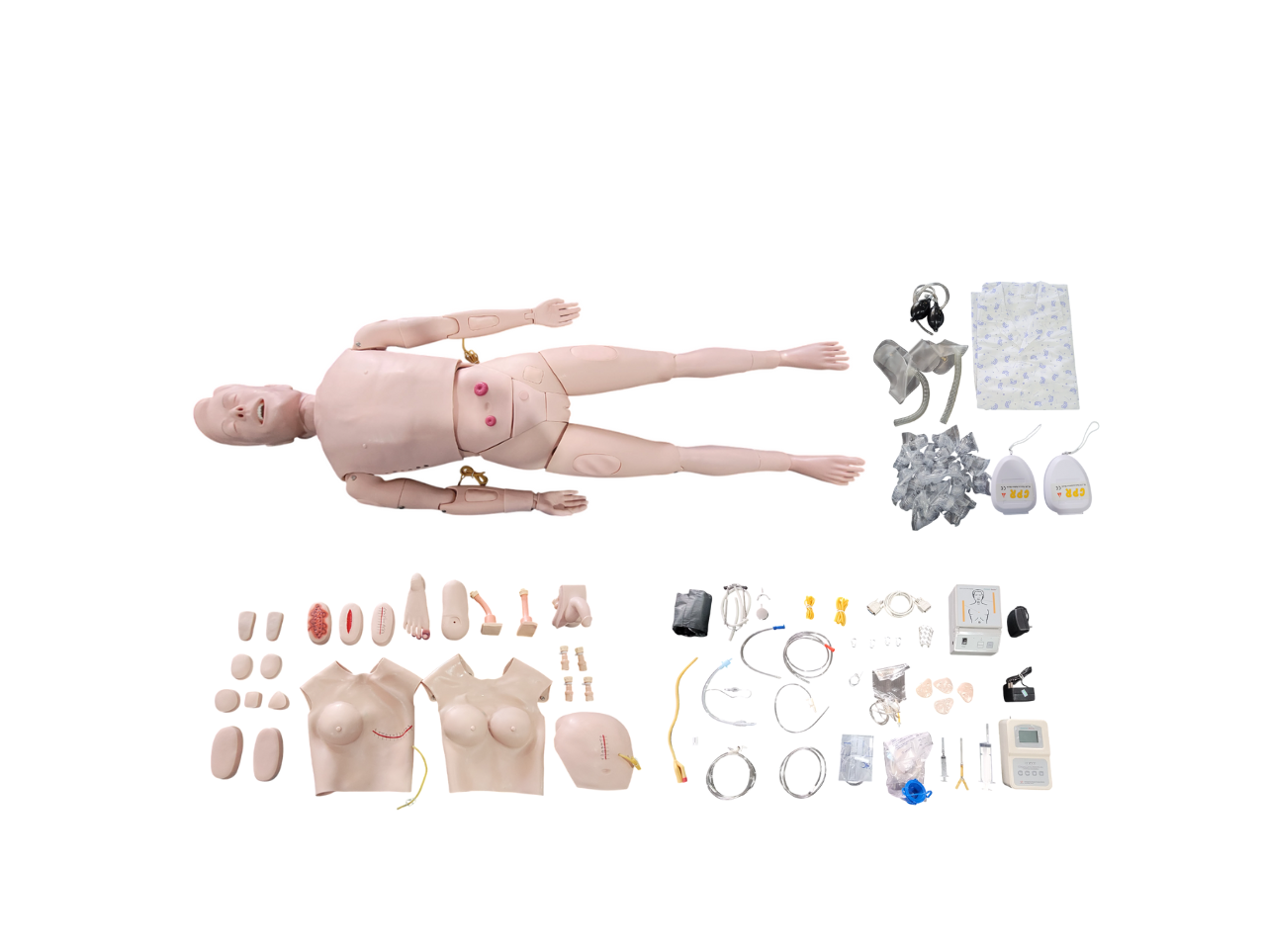Simulador para Treino de Enfermagem e RCP Bissexual