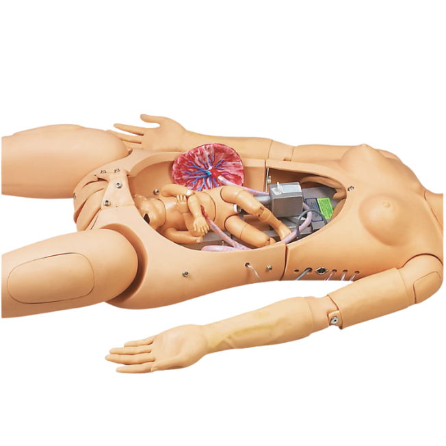 Modelo de Manequim Avançado de Parturiente / Neonatal, Simulador com RCP e Suporte de Emergência