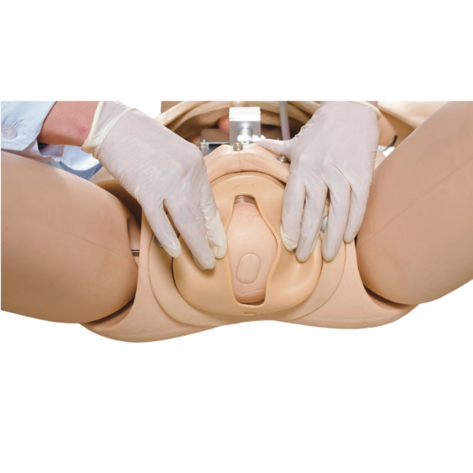 Modelo de Manequim Avançado de Parturiente / Neonatal, Simulador com RCP e Suporte de Emergência