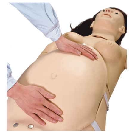 Modelo de Manequim Avançado de Parturiente / Neonatal, Simulador com RCP e Suporte de Emergência