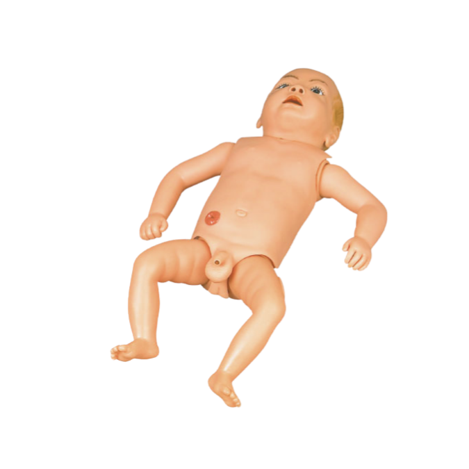 Modelo de Manequim Bebê, Bissexual, com Órgãos Internos, Simulador para Treino de Enfermagem