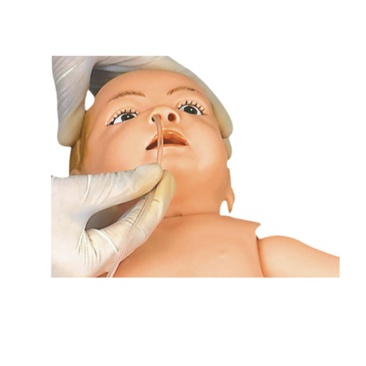 Modelo de Manequim Bebê, Bissexual, com Órgãos Internos, Simulador para Treino de Enfermagem