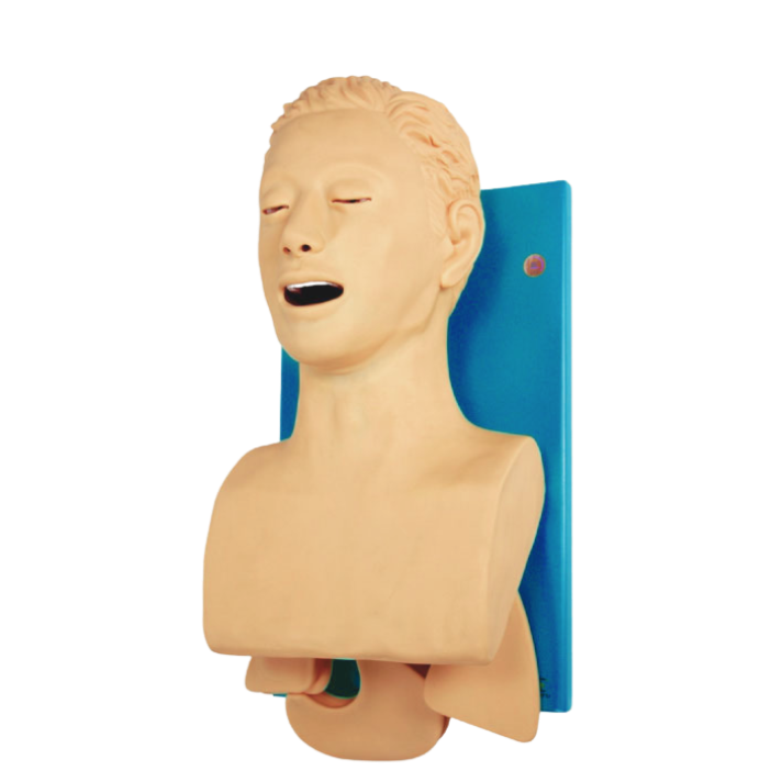 Simulador para Treino de Intubação Traqueal, com Dispositivo de Controle