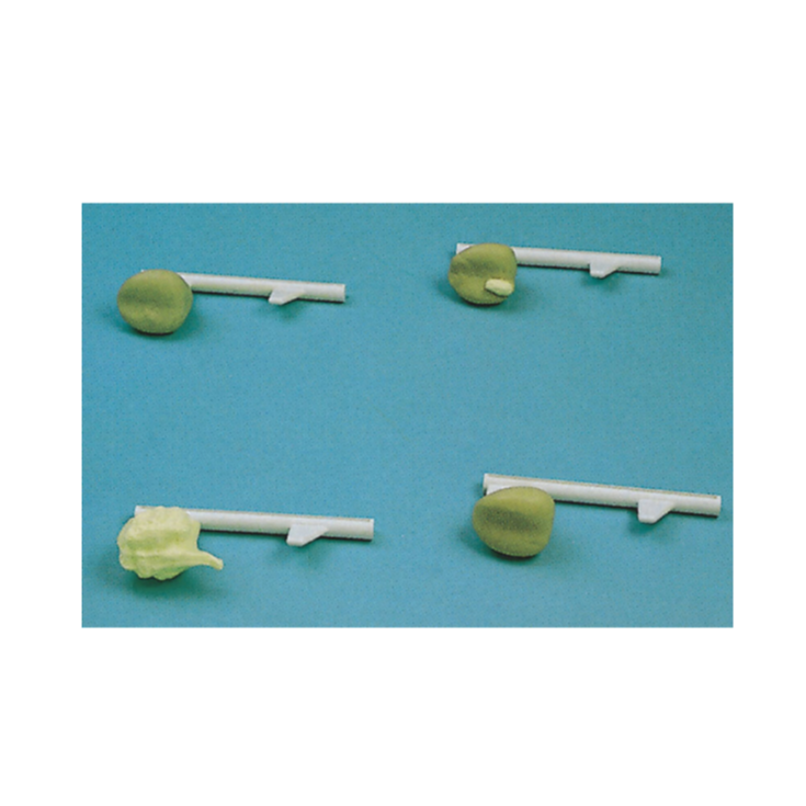 Simulador de Exame de Próstata