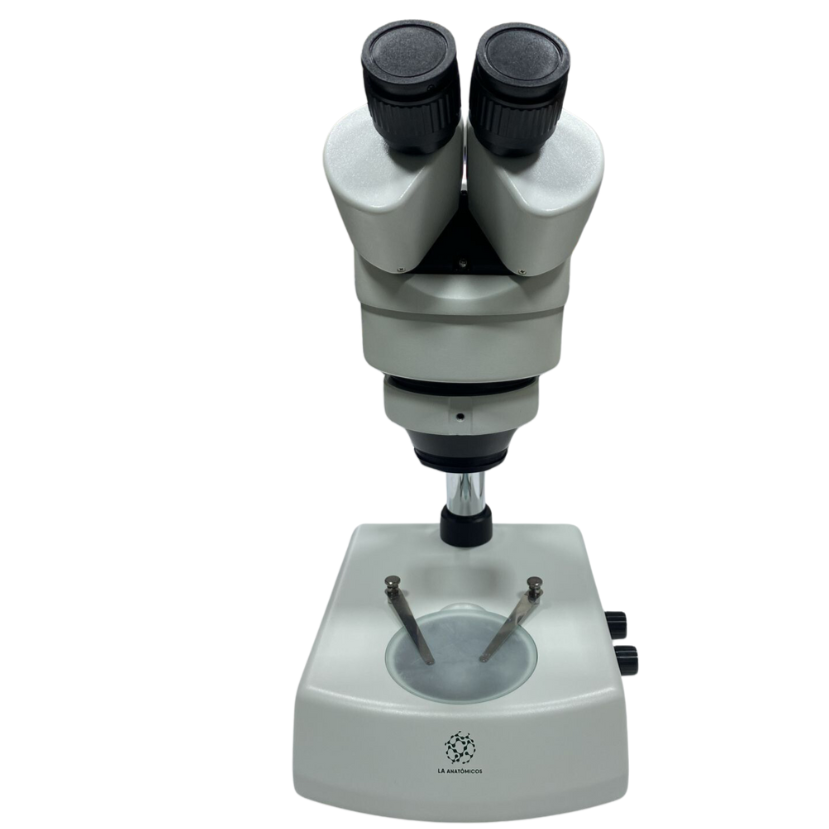 Microscópio Zoom Estéreo Binocular