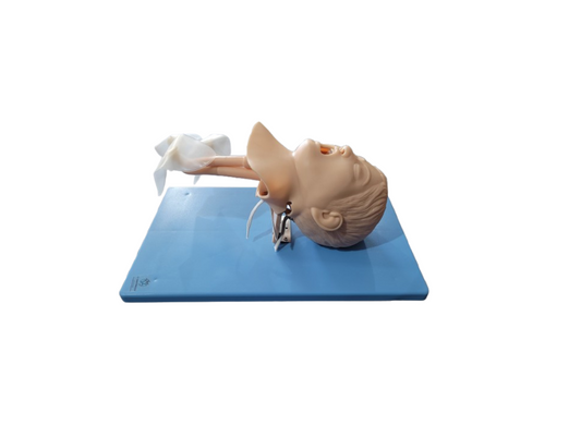 Simulador Infantil, para Treino de Intubação Traqueal