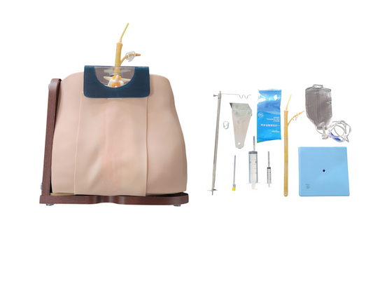 Simulador para Treino de Punção e Infusão Lombar