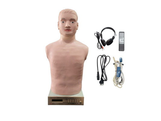 Simulador de Ausculta Cardiopulmonar