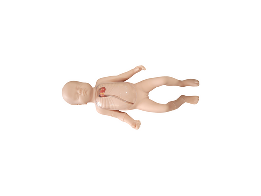 Simulador Neonatal, Avançado, para Punção Venosa Central e Periférica