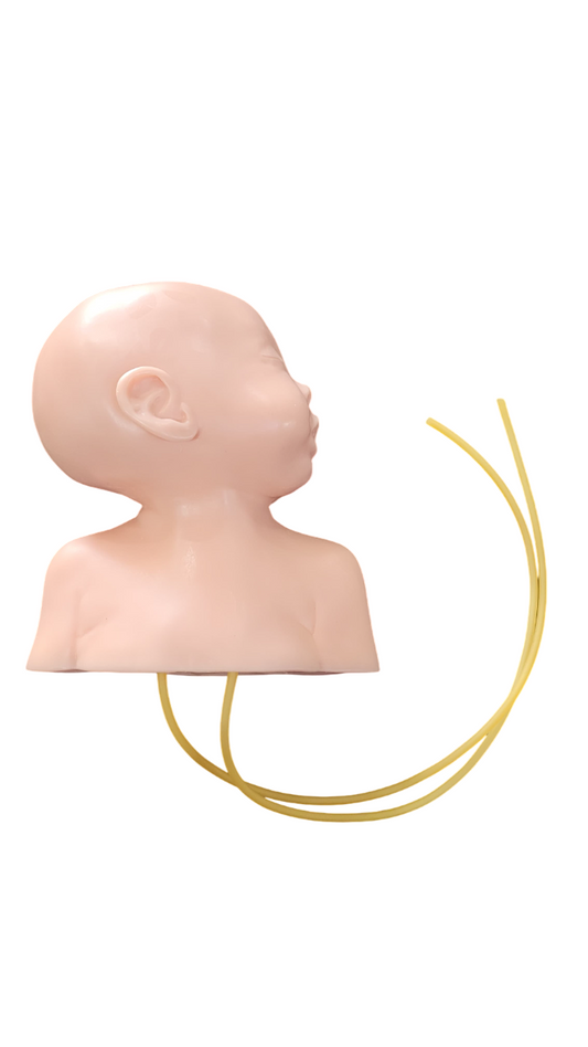 Simulador de Cabeça Neonatal para Punção Venosa – Posição Lateral